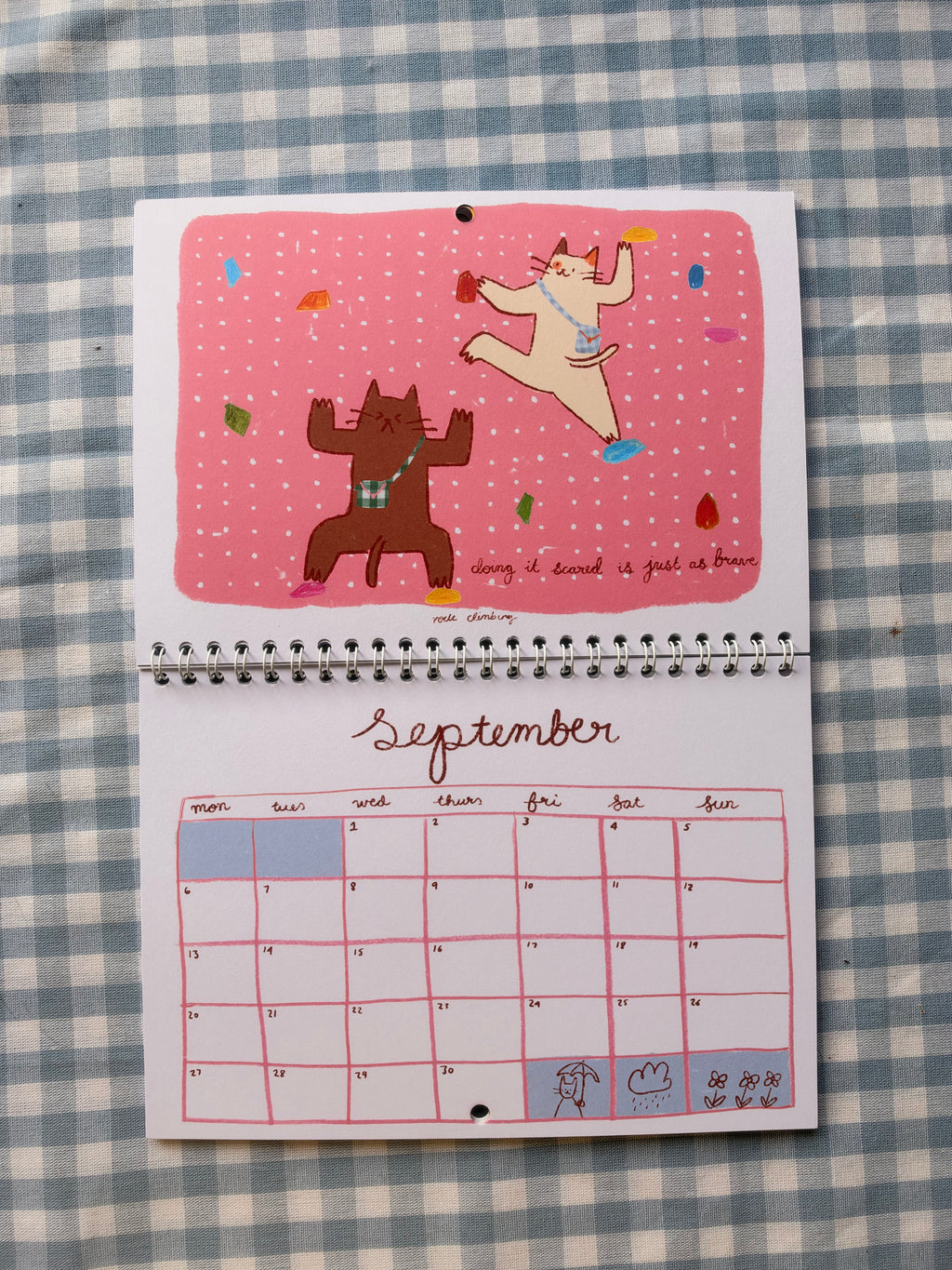 2027 Cat Calendar Preorder