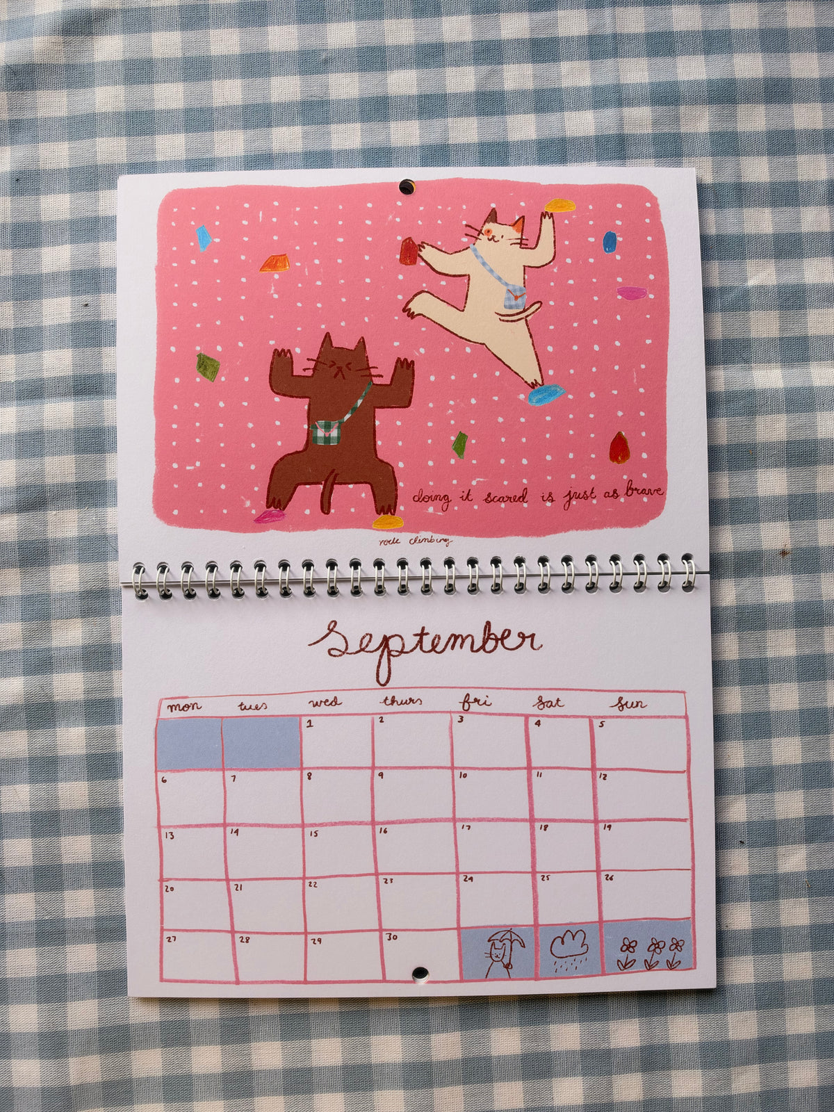 2027 Cat Calendar Preorder