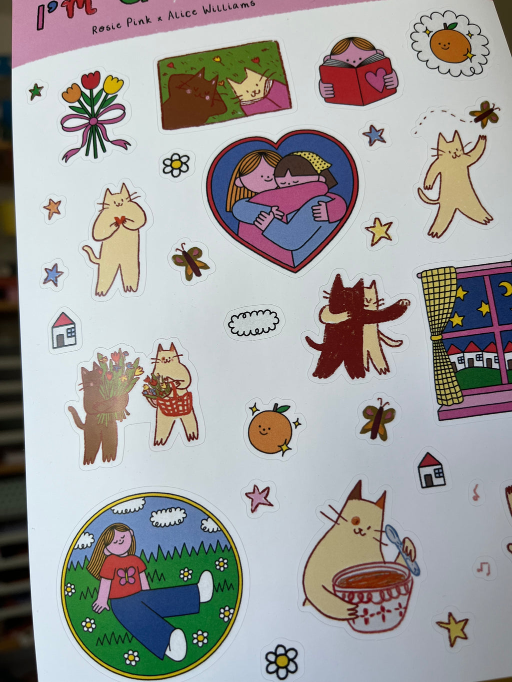 I'm glad I exist sticker sheet Rosie Pink x Alice Williams
